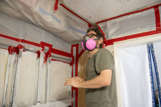 Professional Mold Removal in Ocean Pines, MD